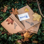 Festivalbox